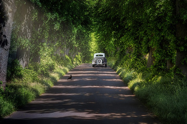 travel g903eba995 640